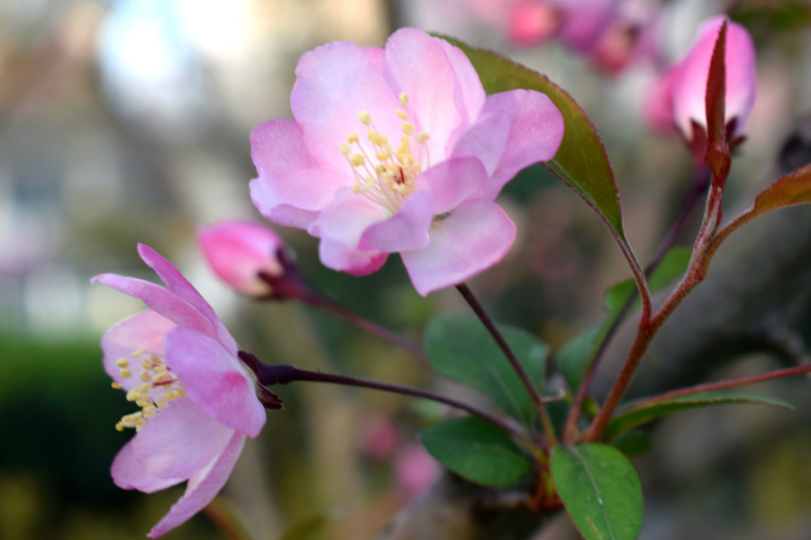 DSC_7934.jpg