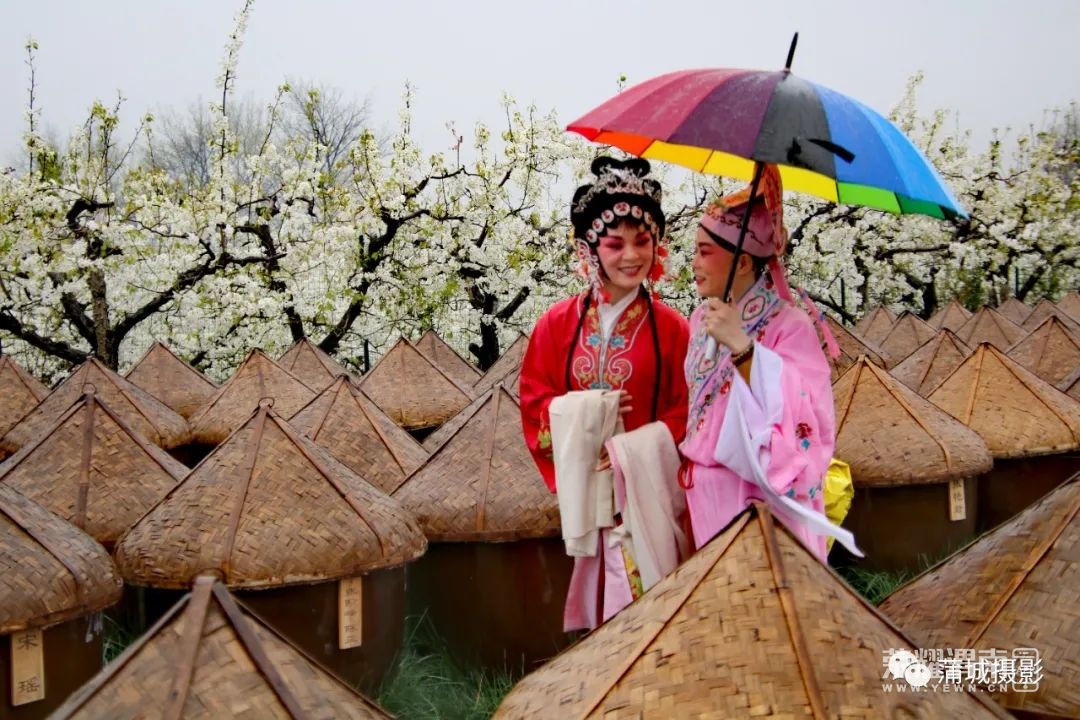 155628htcucz0vdiuddtku.jpg