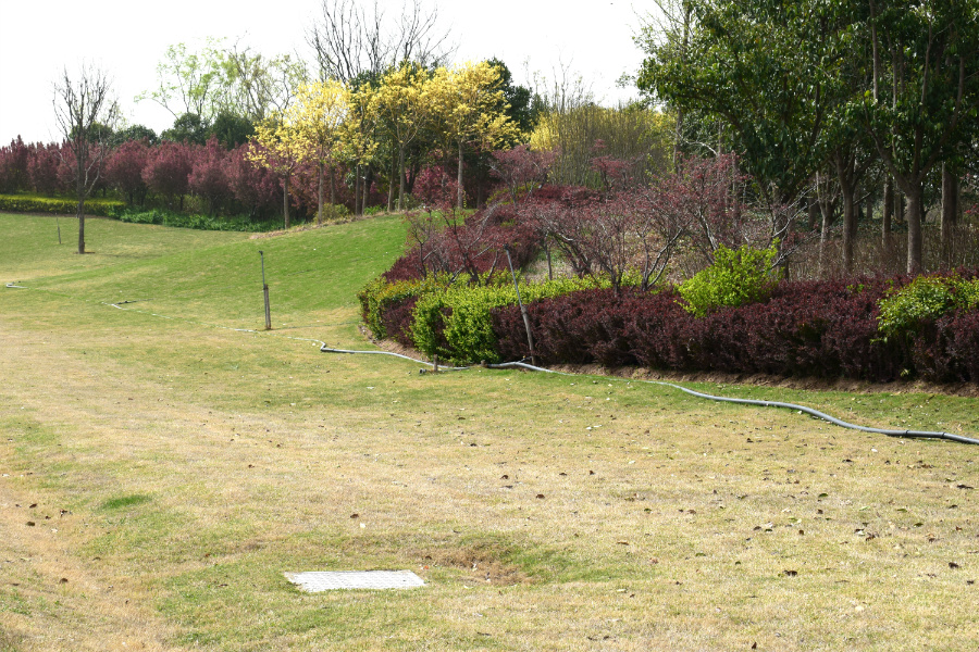 DSC_9679.jpg