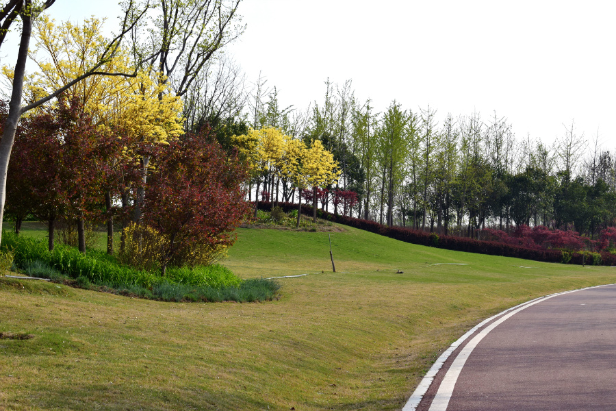 DSC_9872.jpg