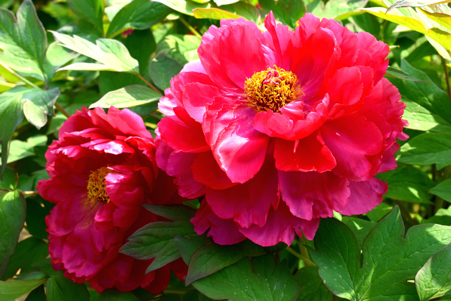 DSC_8149.jpg