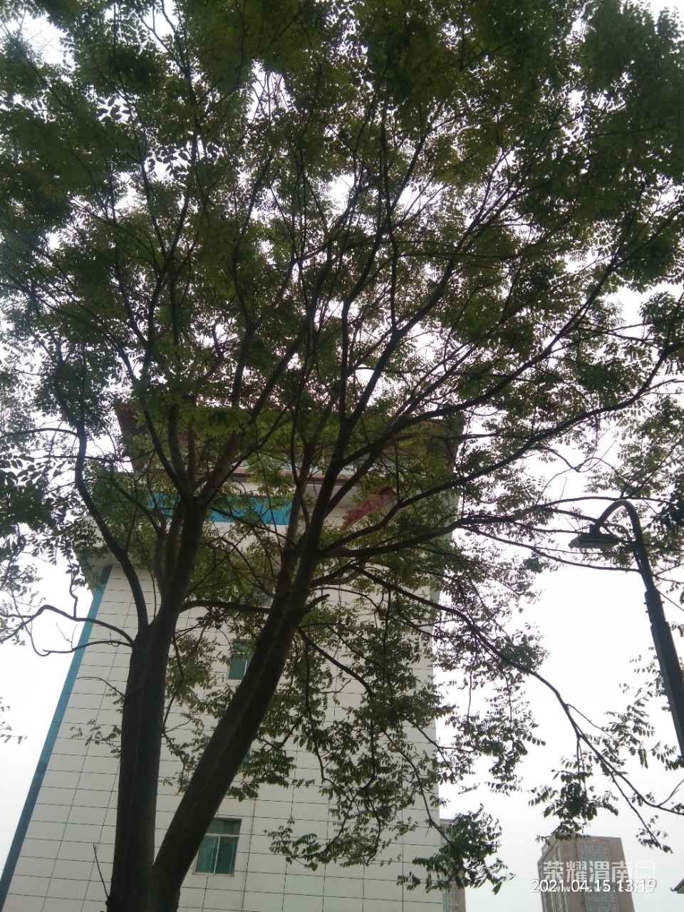 front2_0_Fsi04e_sXK7JIO6-VTMTOO-HrayP.1618480942.jpg