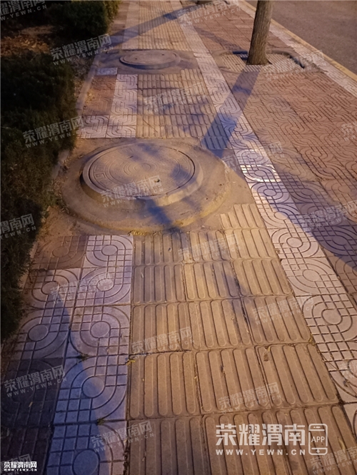 104.jpg