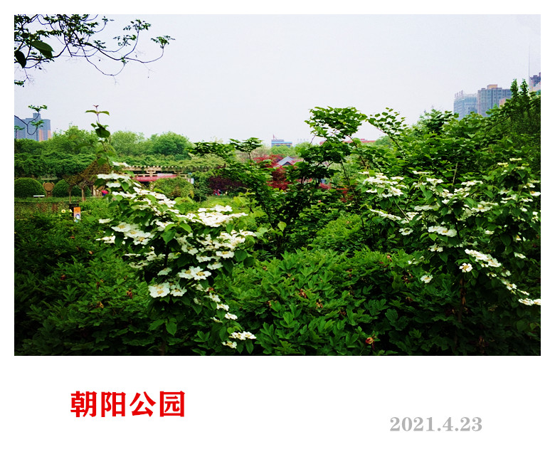 IMG20210423102853_.jpg