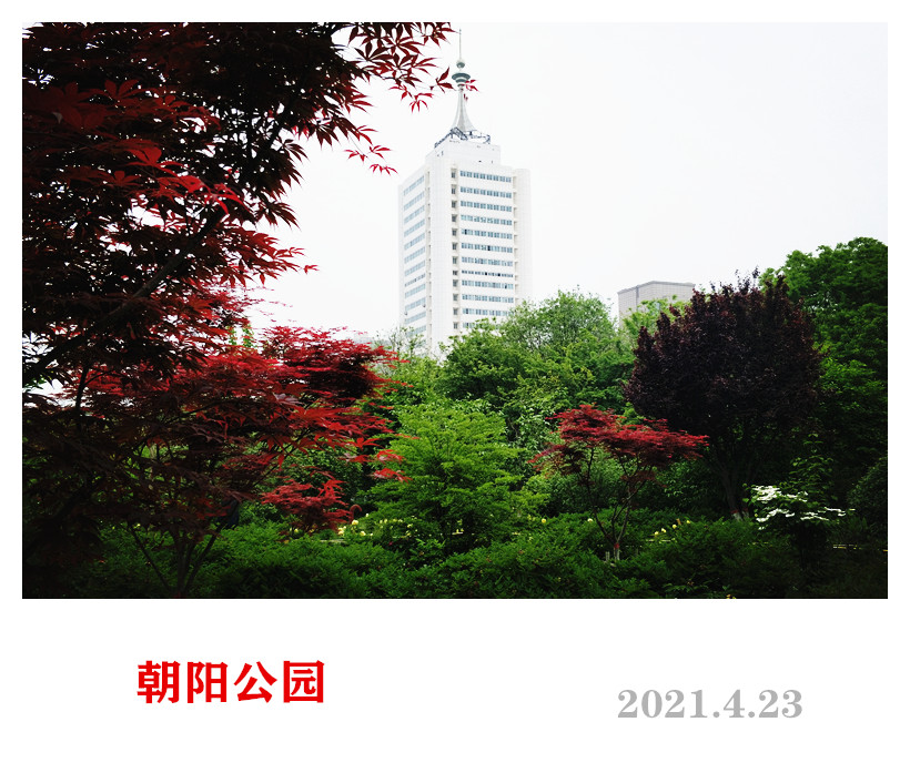 IMG20210423102930_.jpg