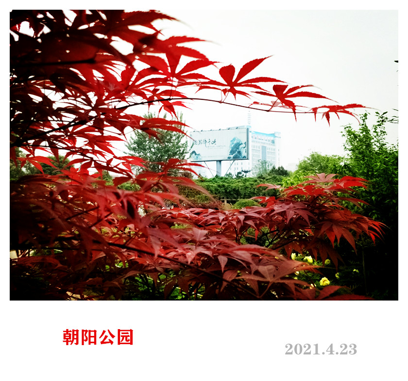 IMG20210423103058_.jpg