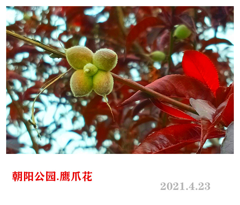 IMG20210423103413_.jpg