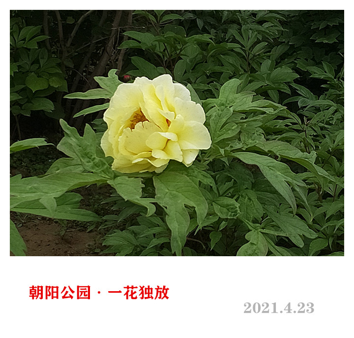 IMG20210423103519_.jpg