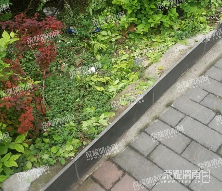 ΢�Ž�ͼ_20210424090725.jpg