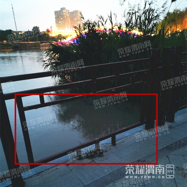 080913zmhgg9629gst9if2.jpg