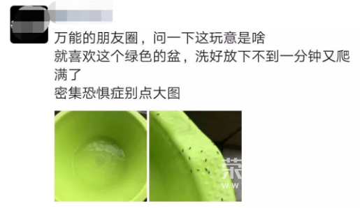 142952vlzds4uoe6g4bwoq.jpg