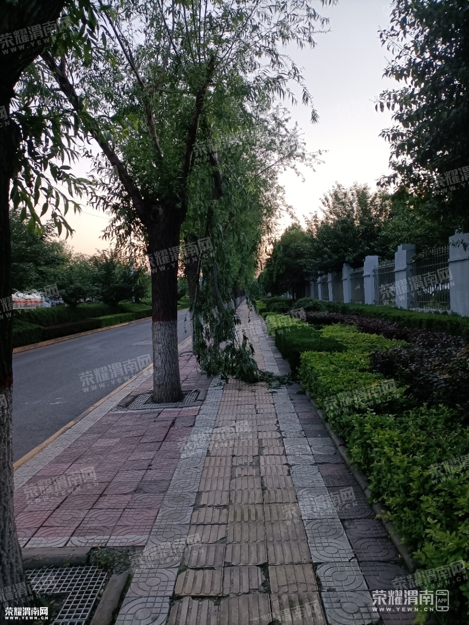 front2_0_FlSiC_lcfEzlRaUMzkJ_nb4CKd96.1619609438.jpg