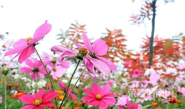 174229pglgxmx3xt67zbmb.jpg
