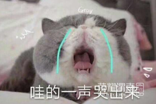 152836v77ciowkcywa6c6a.jpg