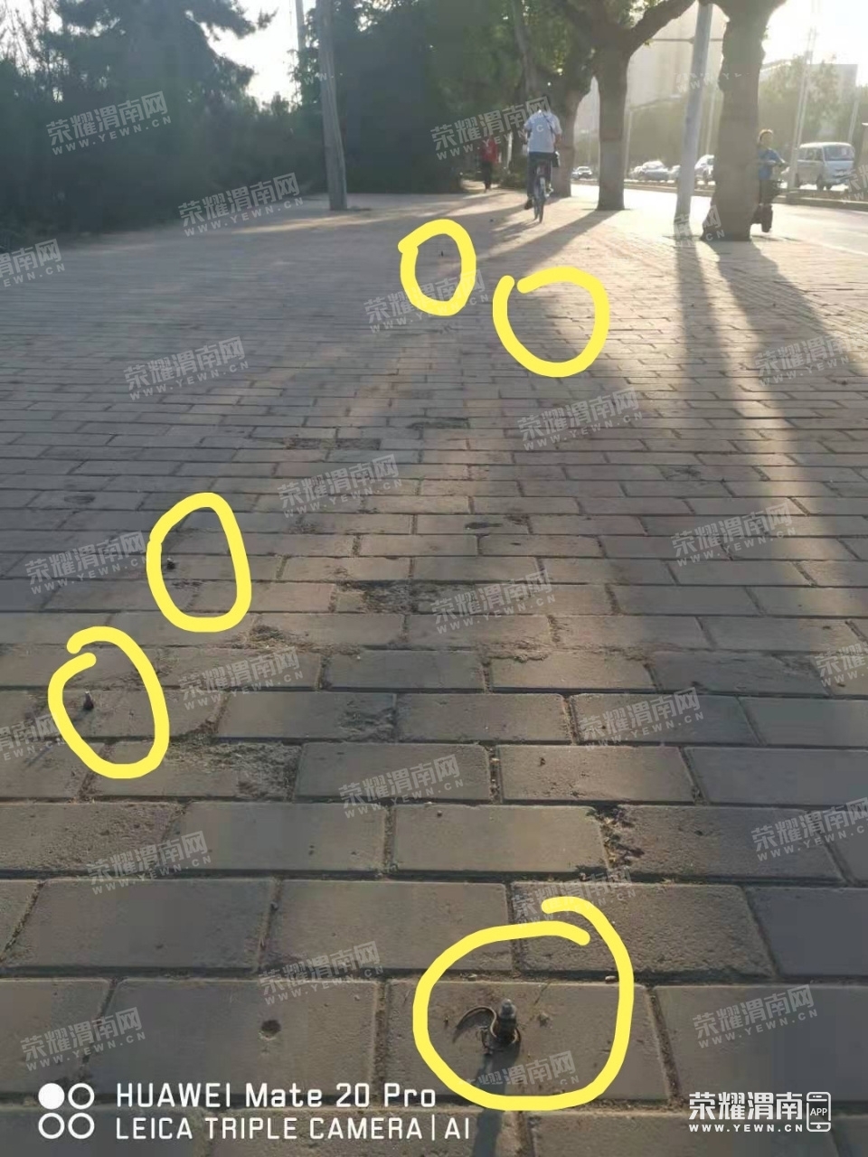 211421uaf33inlxd5r0ha5.jpg