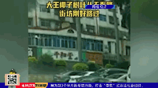 141835te3lwbgrbrote5oo.jpg