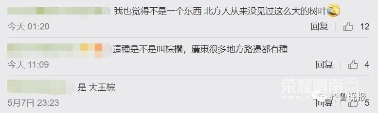 141838lphdrip6ji555s4q.jpg