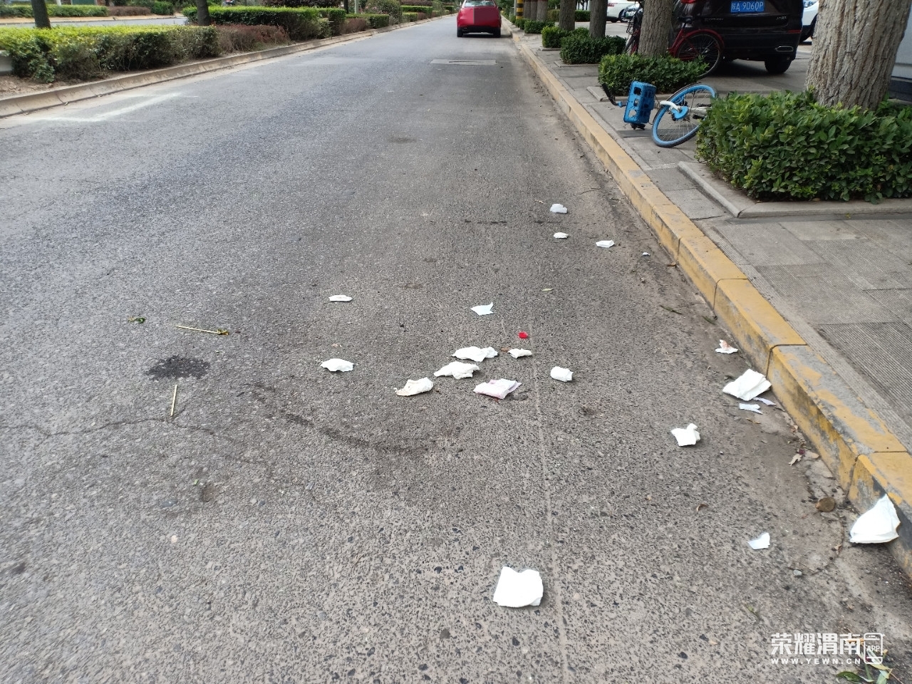 素质呢!朝阳大街城东热力门口非机动车道上有人随地乱扔纸屑