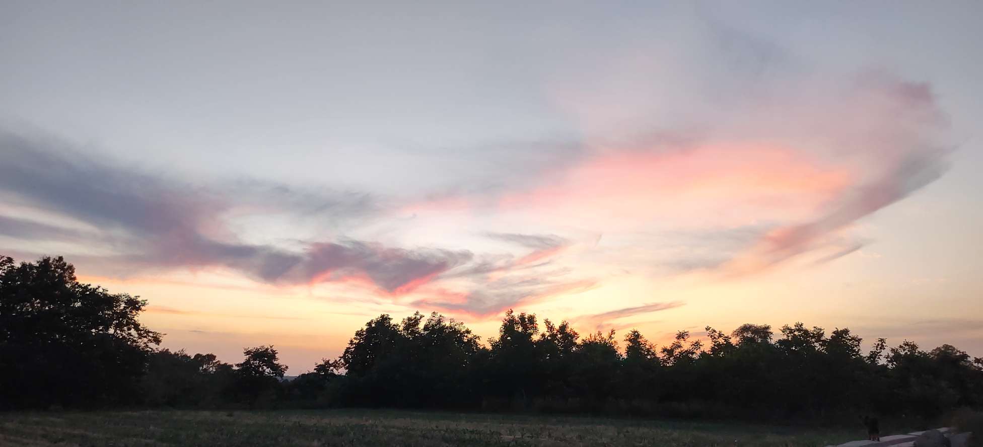 20220720131541front2_0_255135_Fh6tVXipkUnJ4bTv1BPNUWYkEWF_.jpg