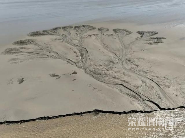 ���� (10).jpg