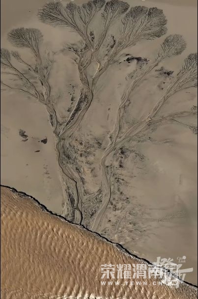 ���� (13).jpg