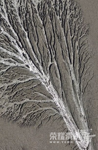 ���� (14).jpg