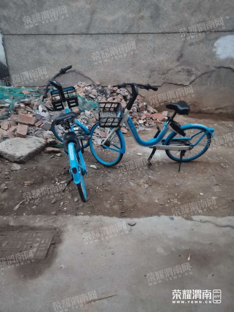 075039al8kj4h14il6z3w8 - ����.jpg