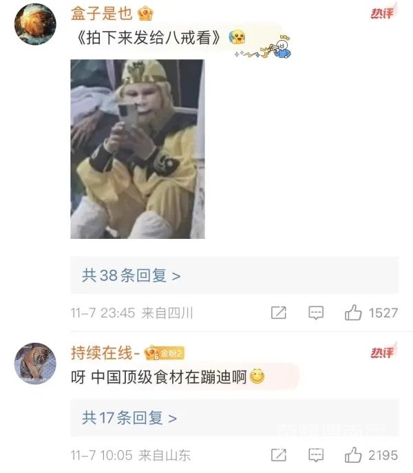 160536x2oz85v156z53uu8.jpeg