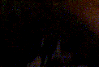 113107se044oekkz3e6d63.gif
