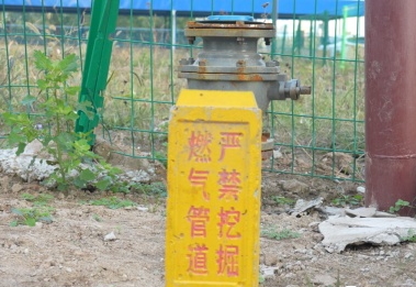 1kilo-img (4).jpg