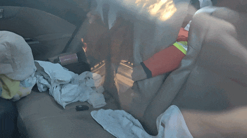 164853kwp3yhmr8s93g579.gif