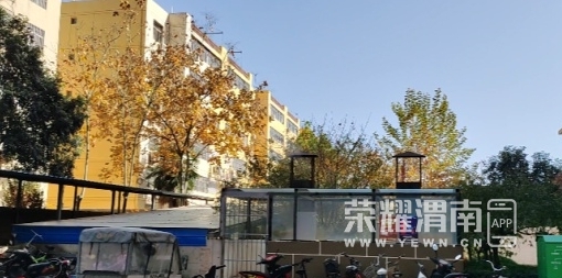 ΢�Ž�ͼ_20231124085244.png