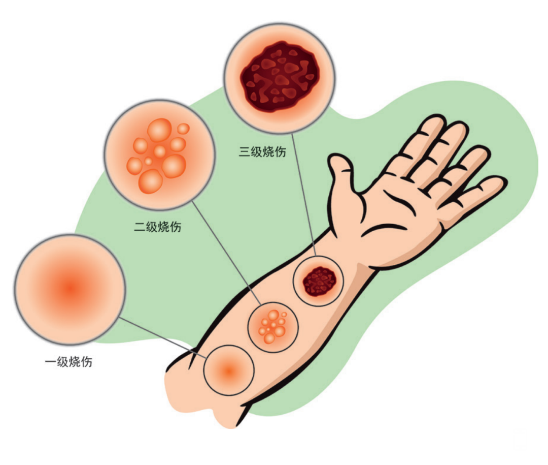 151534lnx4sxvnpgd5n5g5.png