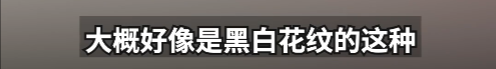 171727e3000qq6j760j3ef.png