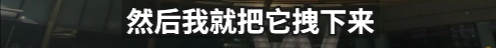 171728yb81p1o1jjo55uoc.png