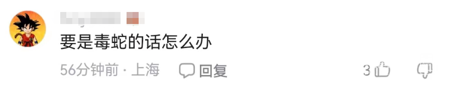 171734eggacby11bgbg2a1.png