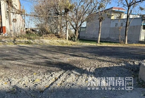 ΢�Ž�ͼ_20231206094025.png