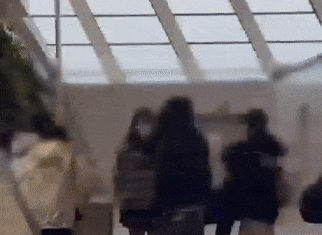 112546qniao344334cci4c.gif