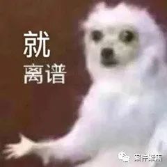 114725eypc8kpbpybq53wc.jpeg