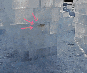 150852cyuz1o5w3jglod44.gif
