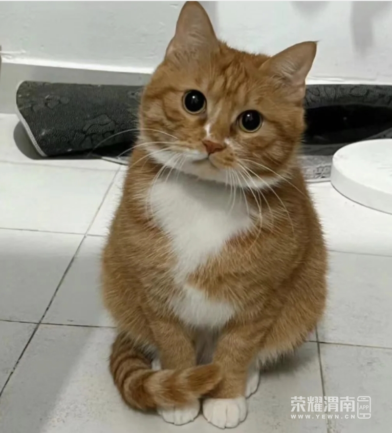 ΢Žͼ_20240207155306.png