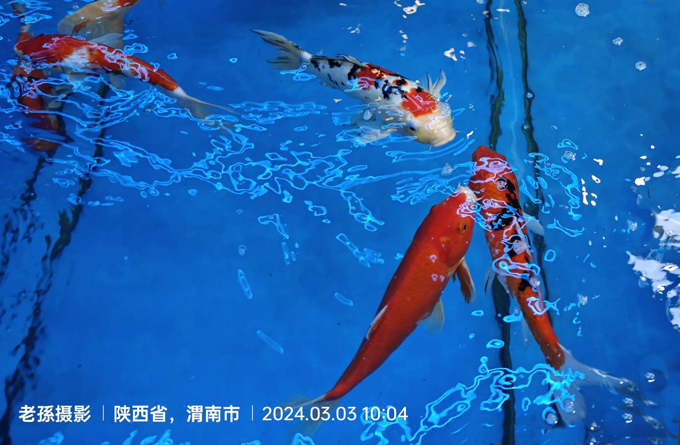 20240303173748front2_0_8888_FhDrqSbCAnlLVM8BnHuPW7ALzIWa.jpg