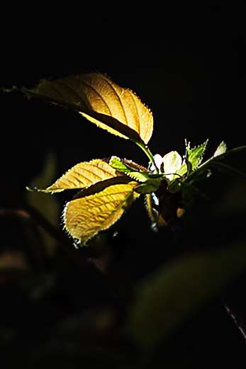 20240329105716front2_0_233519_Fp8faVqwXWypK_m2QWDWXQTKaiIE.jpg