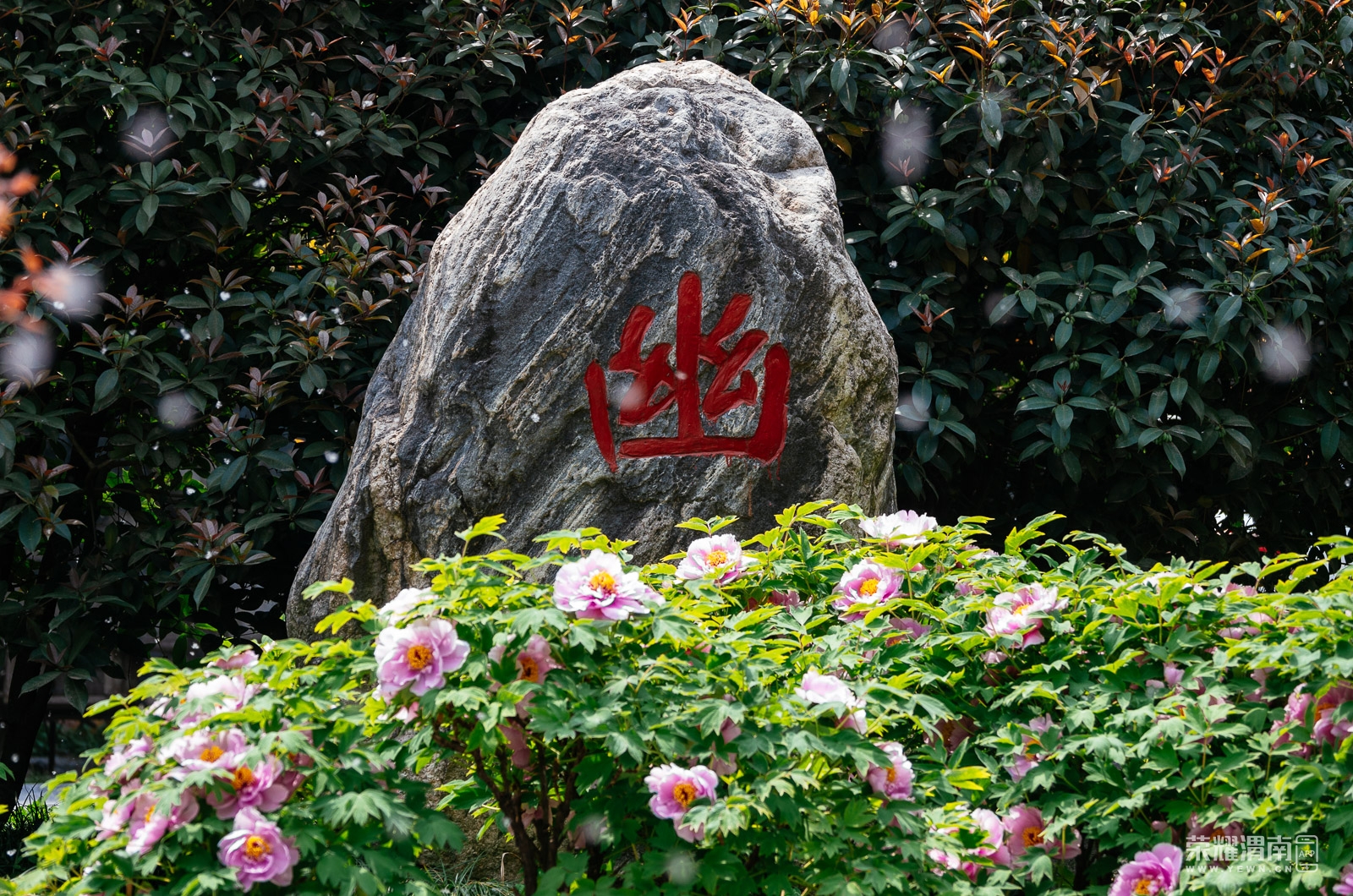 _K5F8497.jpg