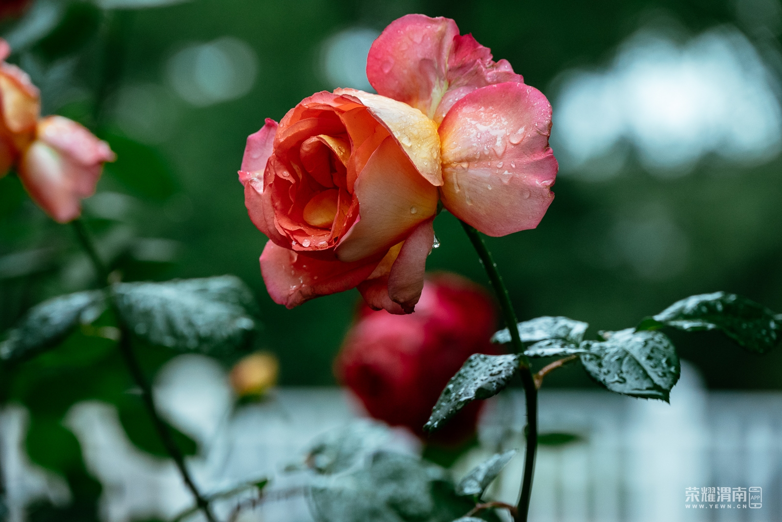 _Z5A0347.jpg