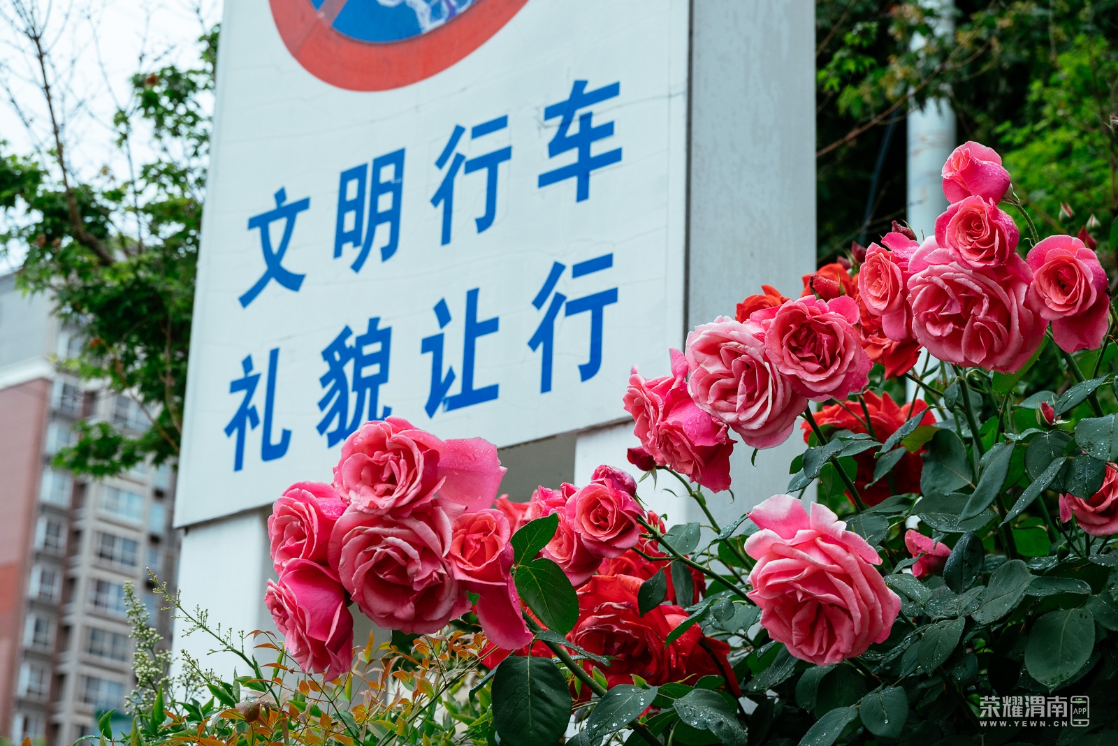_Z5A0352.jpg
