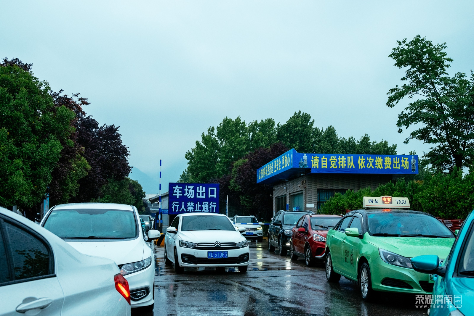 _Z5A0715.jpg