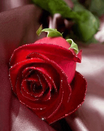 20240602143316front2_0_166882_FsZDkBbwOXl8oDJqrd6y3MysVZWP.gif