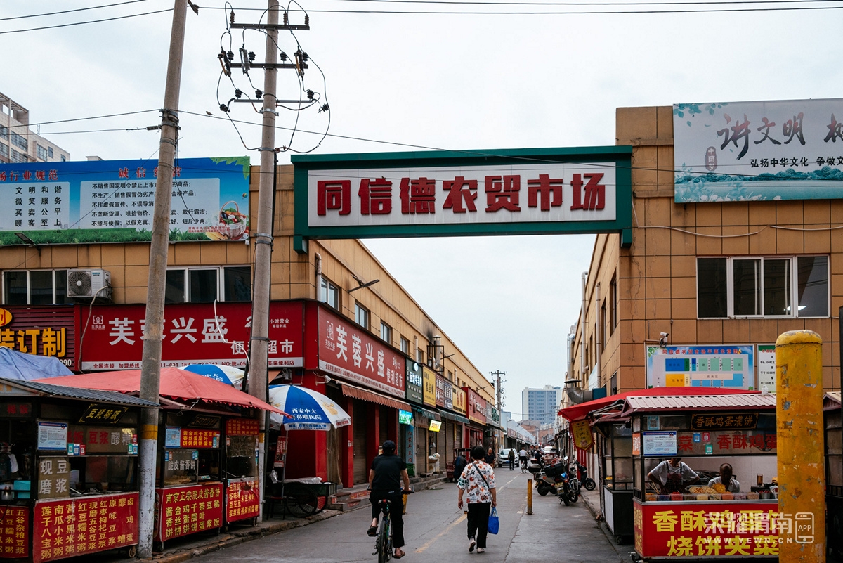 _Z5A7921.jpg