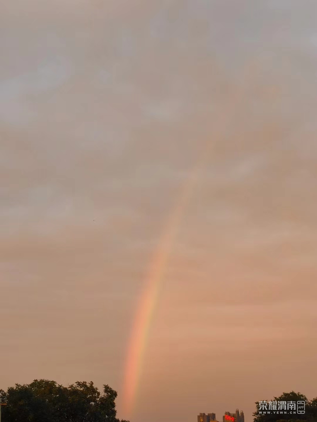 ΢ͼƬ_20240703200931.jpg